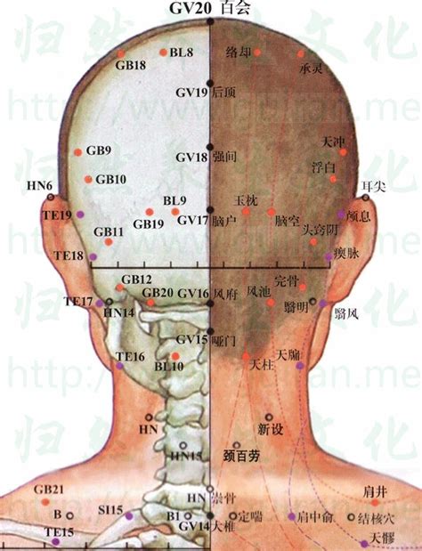 頭竅陰穴|醫砭 » 中華針灸 » 頭竅陰